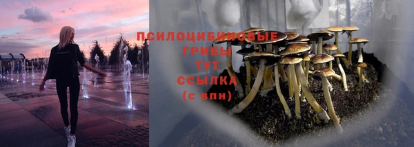 сатива Кострома