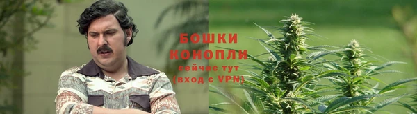 мяу мяу мука Зерноград