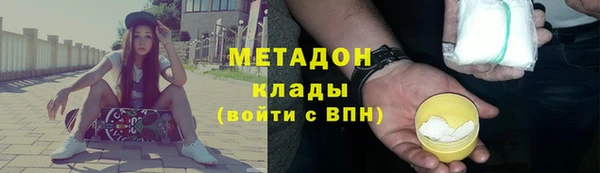 сатива Кострома