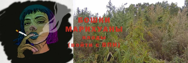 сатива Кострома