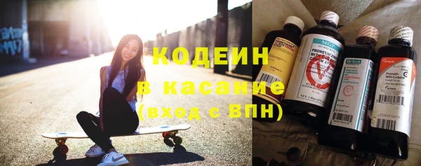 сатива Кострома