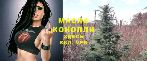 сатива Кострома