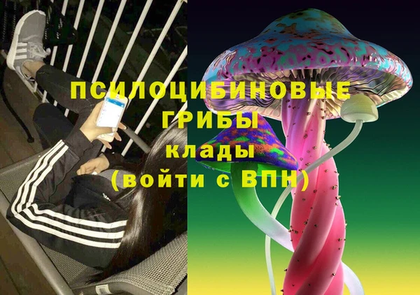 сатива Кострома