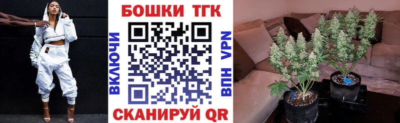 Канабис AK-47  Купить где  Козельск